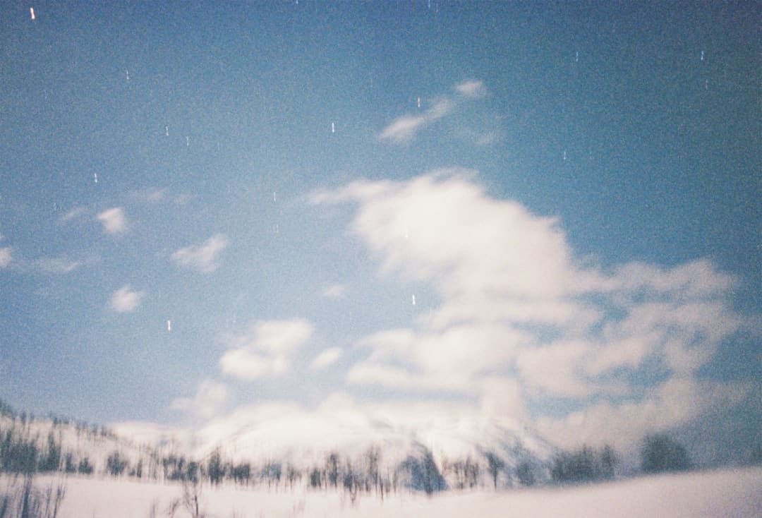 http://upload.mnw.cn/2025/0828/1756348315590.jpg